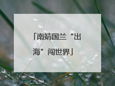南靖国兰“出海”闯世界